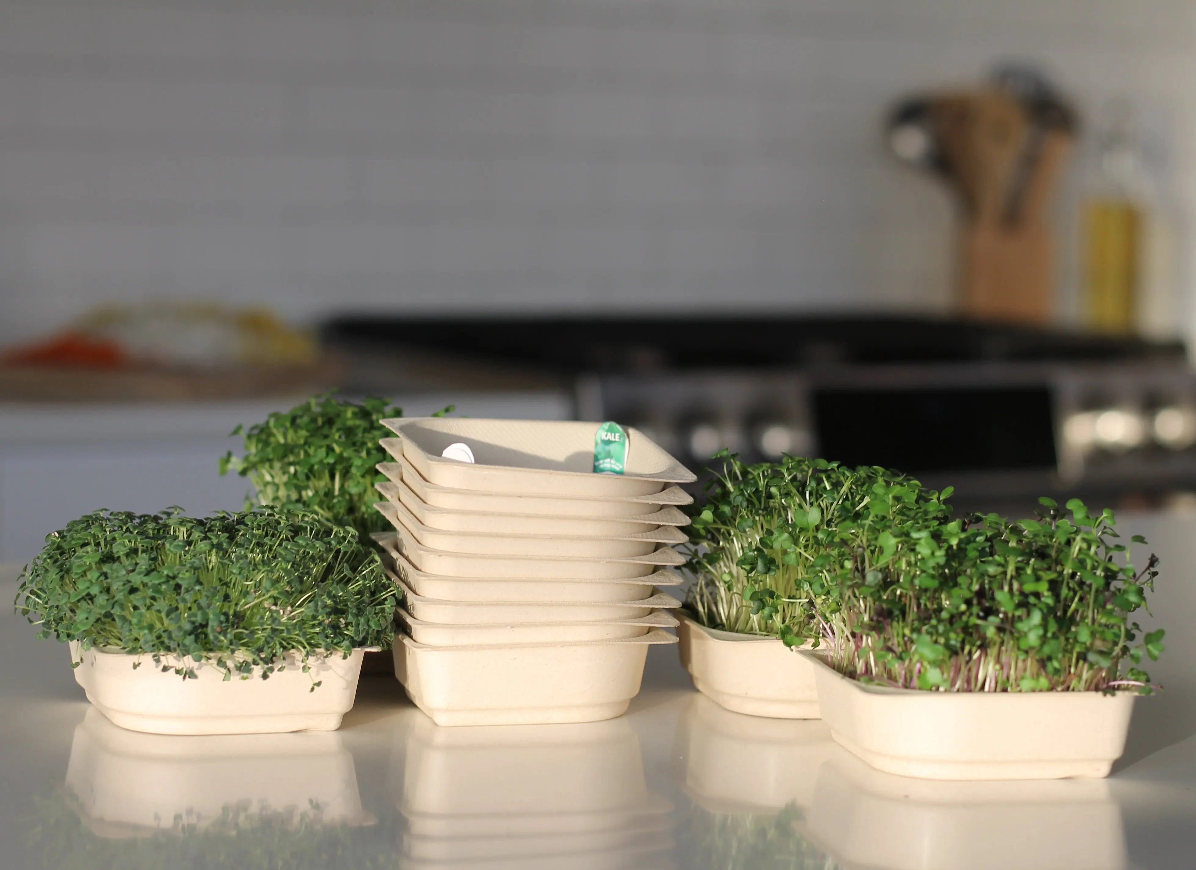 9+ Microgreen Advertising Smoothie Microgreen Bundle - 9 Tray Pack – Instafarm