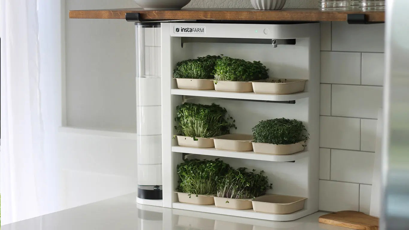 Automated and compact microgreen growing kitchen kit - LED light and watering